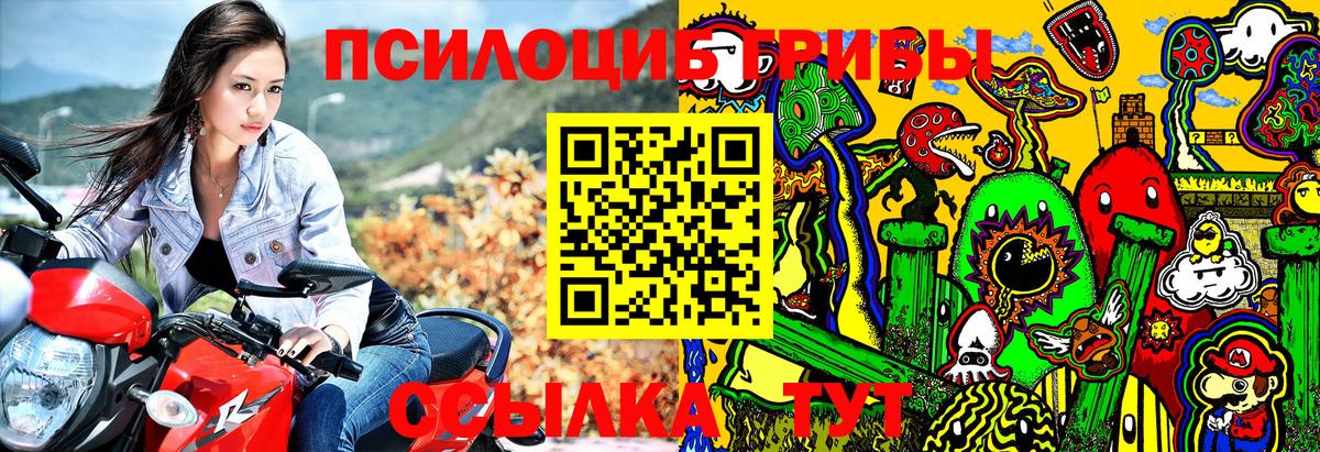 Галлюциногенные грибы GOLDEN TEACHER  Вход с VPN  закладка  Жигулёвск  Галлюциногенные грибы Psilocybine cubensis 
