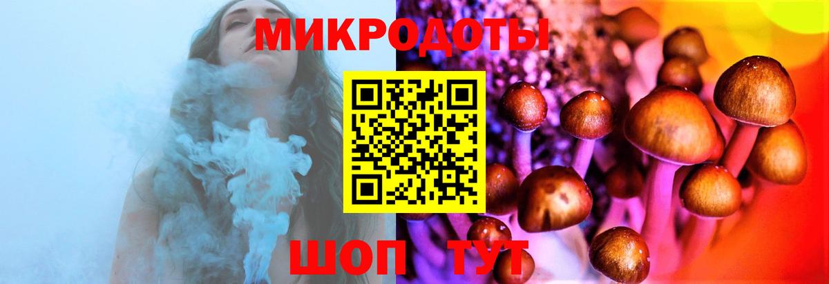 Галлюциногенные грибы Psilocybe Жигулёвск